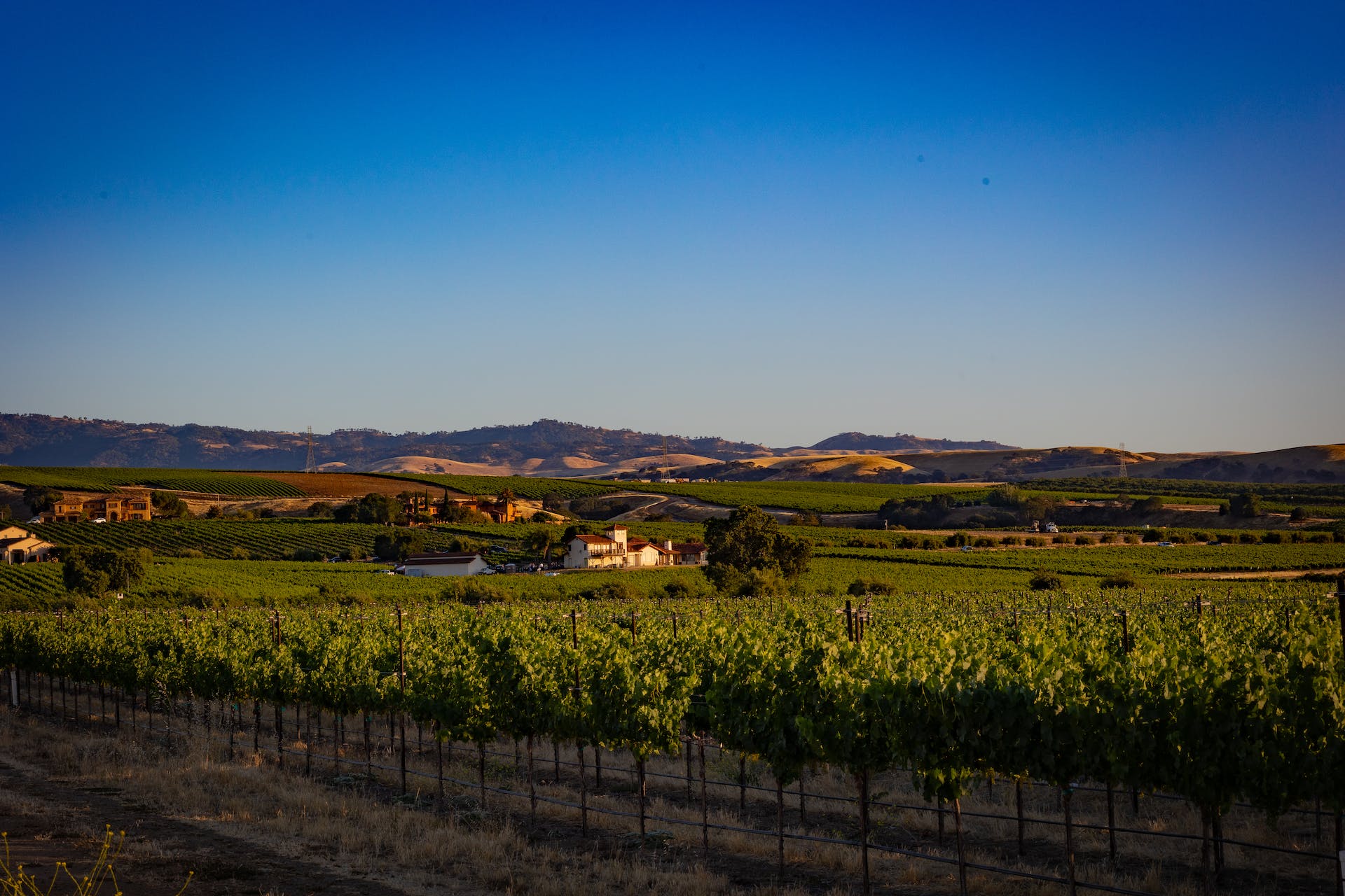 Sustainable Agriculture: Nurturing the Future of Farming
